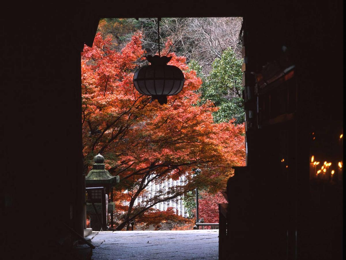 Hotel Itaniya à Sakurai Extérieur photo